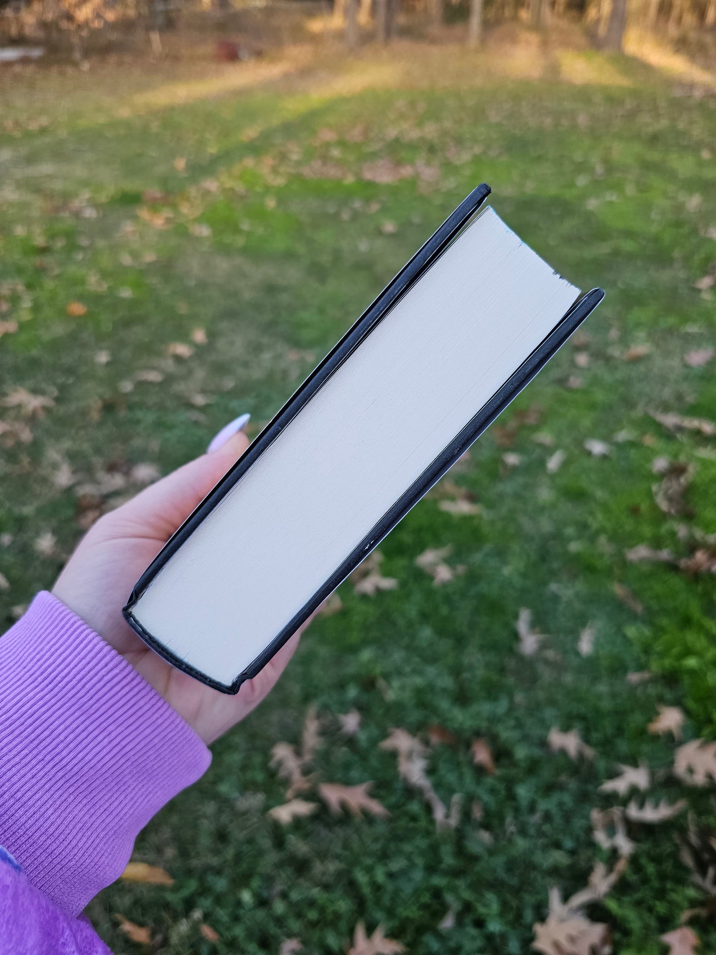 Fourth Wing Hand Painted Edition