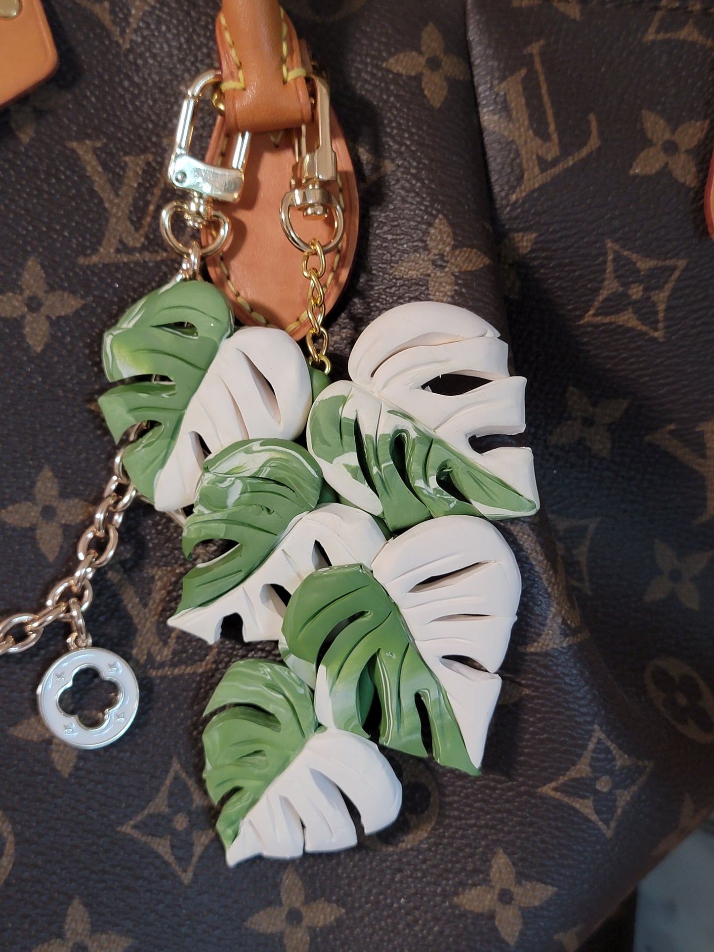 Variegated Monstera Charm