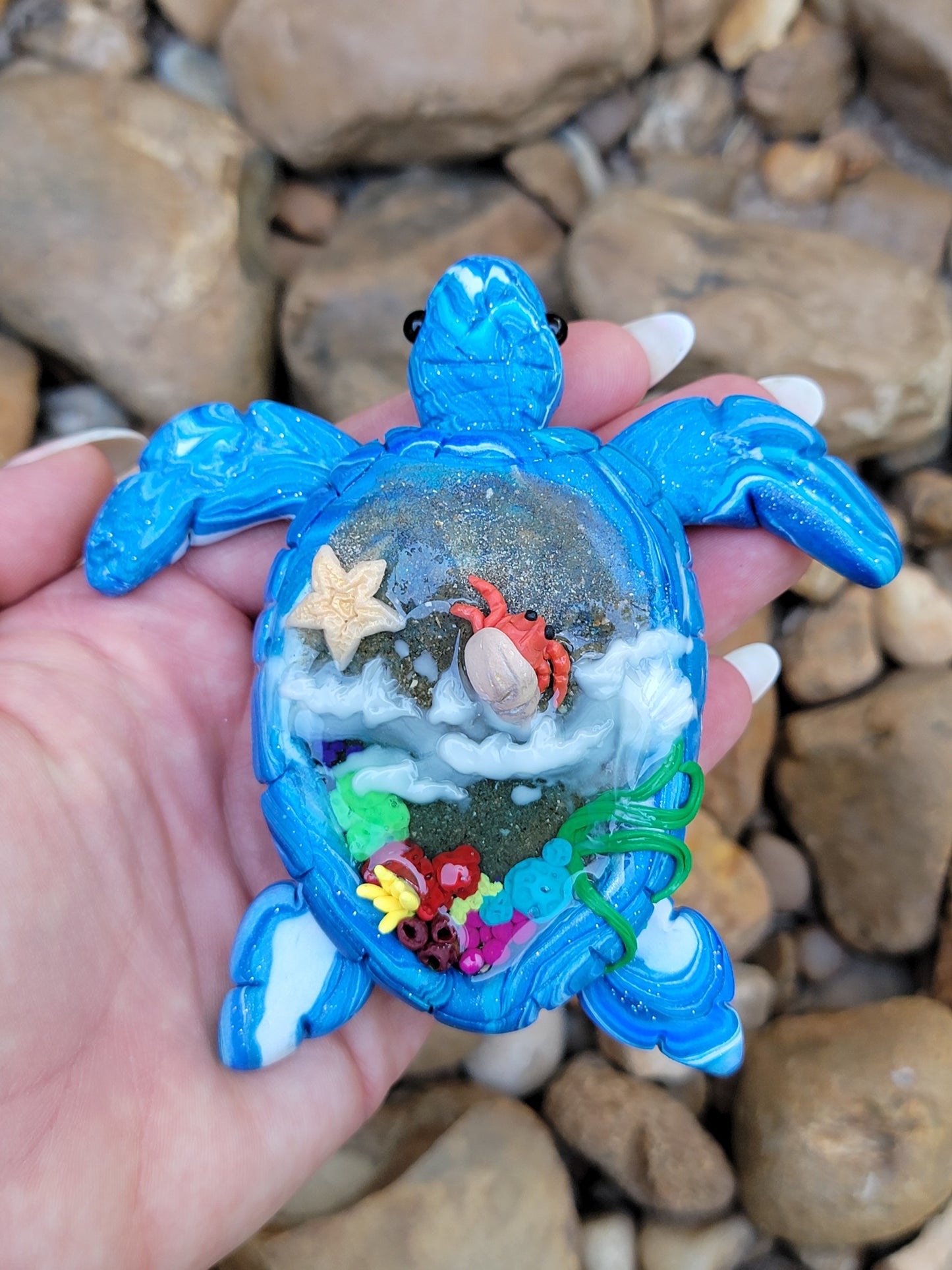 Sea Turtle Beach Scene