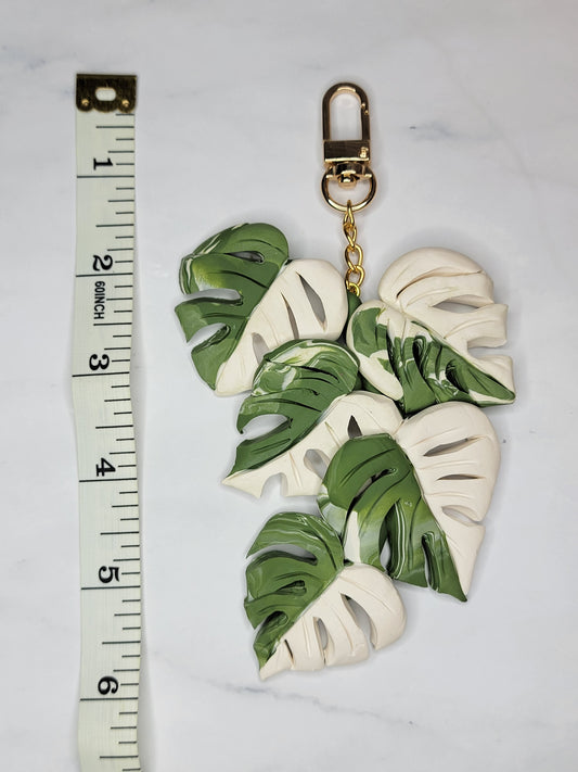 Variegated Monstera Charm