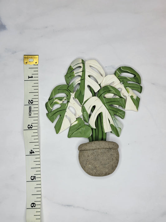 Variegated Monstera Magnet